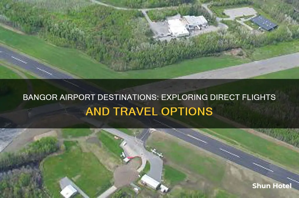 where does bangor airport fly to