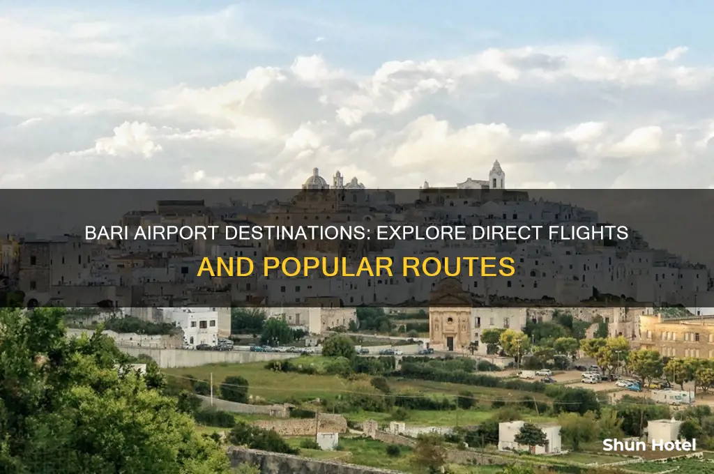 where does bari airport fly to