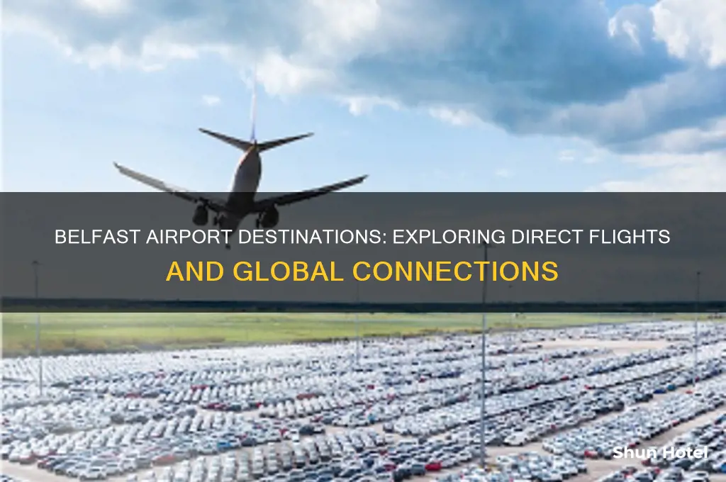 where does belfast airport fly to