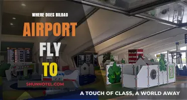 Bilbao Airport Destinations: Exploring Direct Flights and Popular Routes