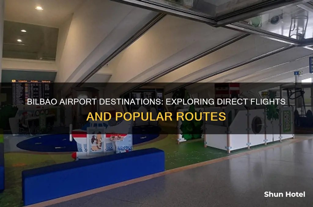 where does bilbao airport fly to