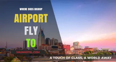 Bishop Airport Destinations: Exploring Direct Flights and Travel Options