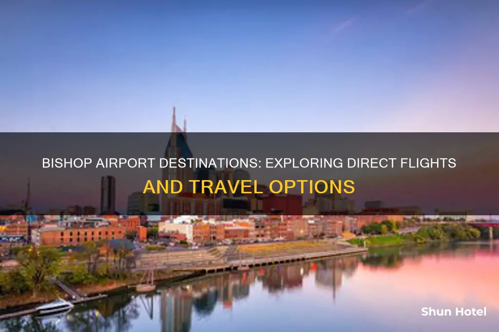 where does bishop airport fly to