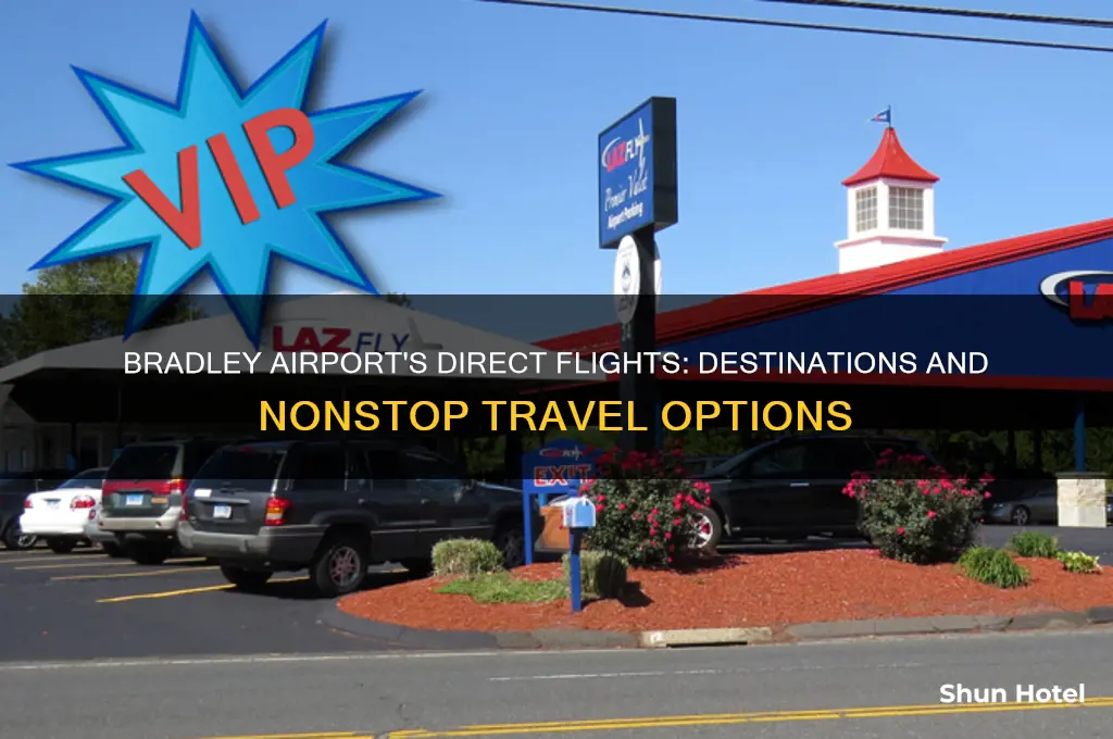 where does bradley airport fly direct