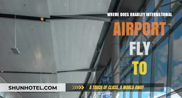 Bradley International Airport Destinations: Exploring Nonstop Flights and Routes