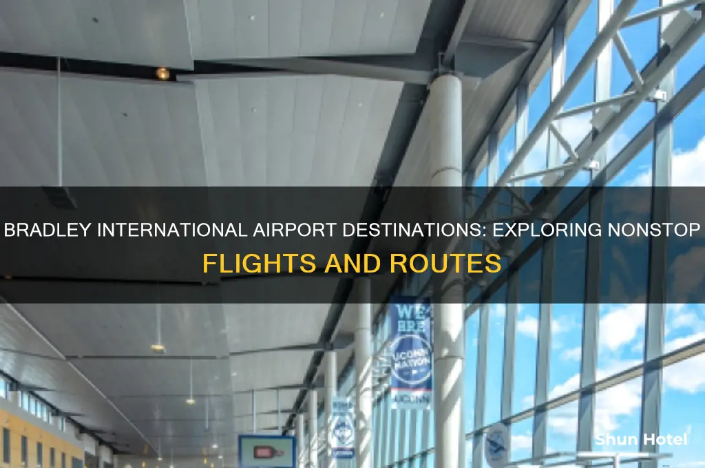 where does bradley international airport fly to