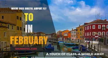 February Flights from Bristol Airport: Destinations and Travel Options