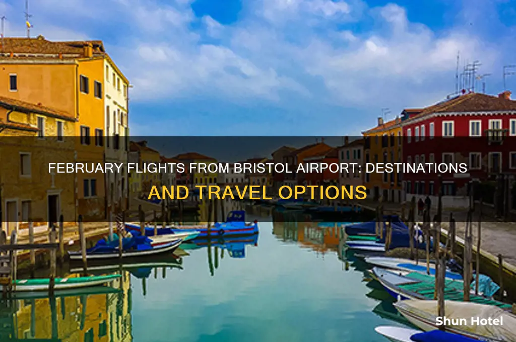 where does bristol airport fly to in february