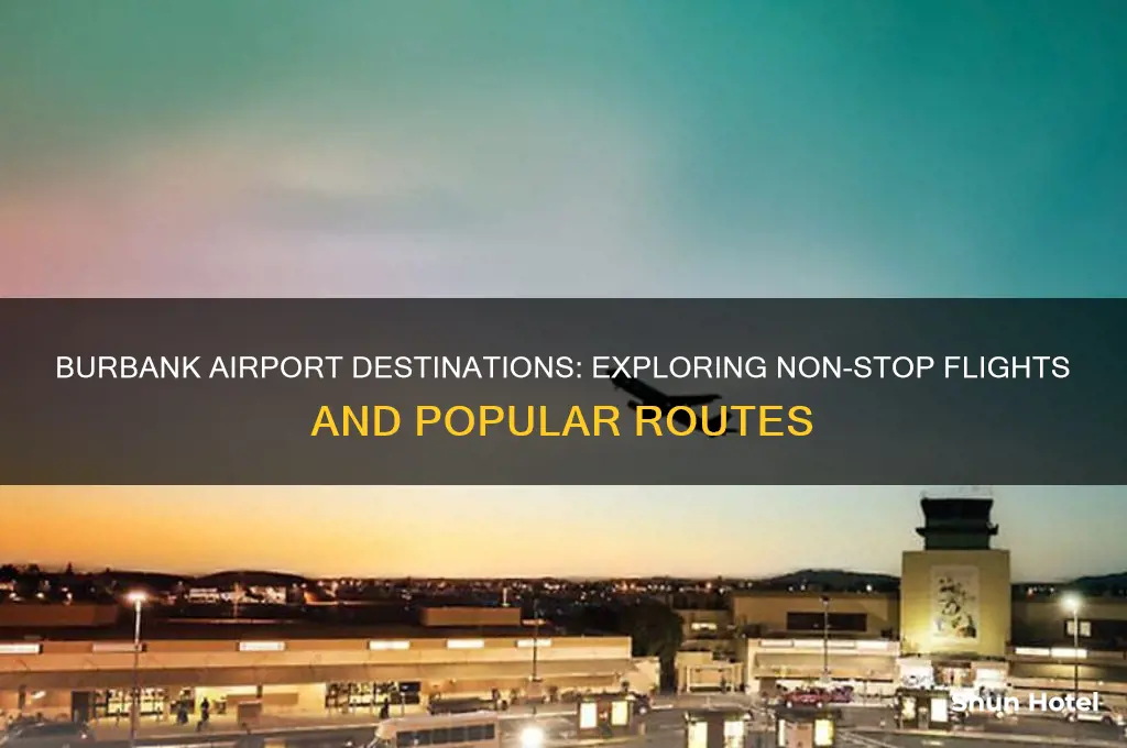 where does burbank airport fly to