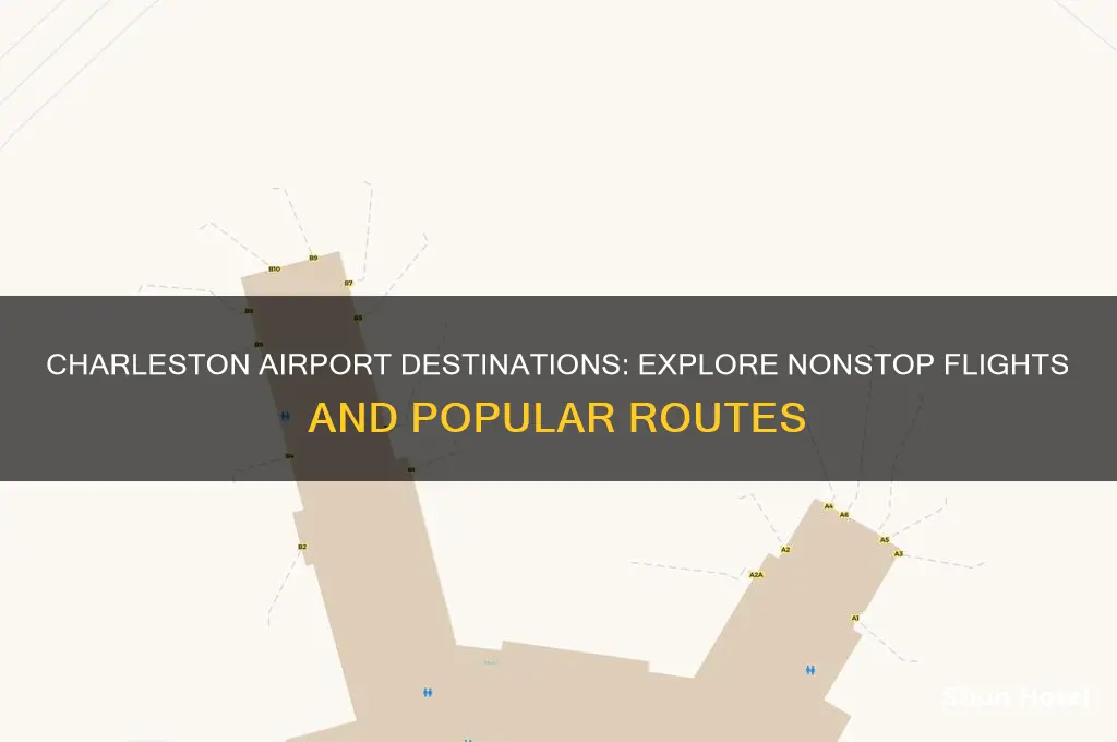 where does charleston airport fly to