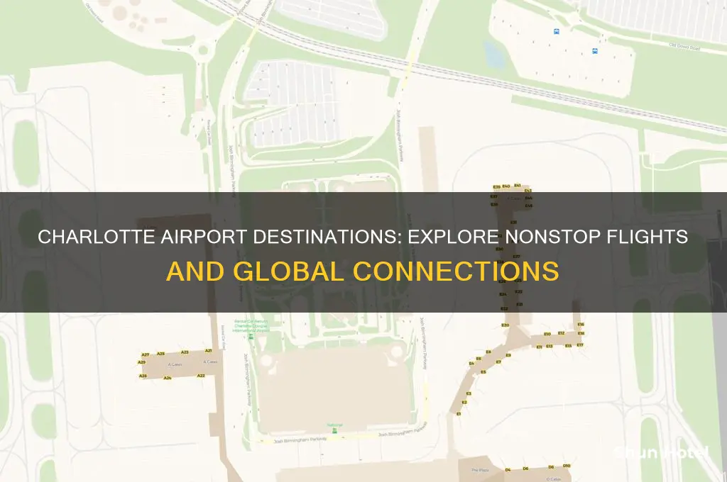 where does charlotte airport fly to