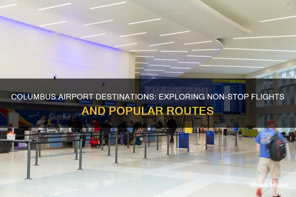 where does columbus airport fly to
