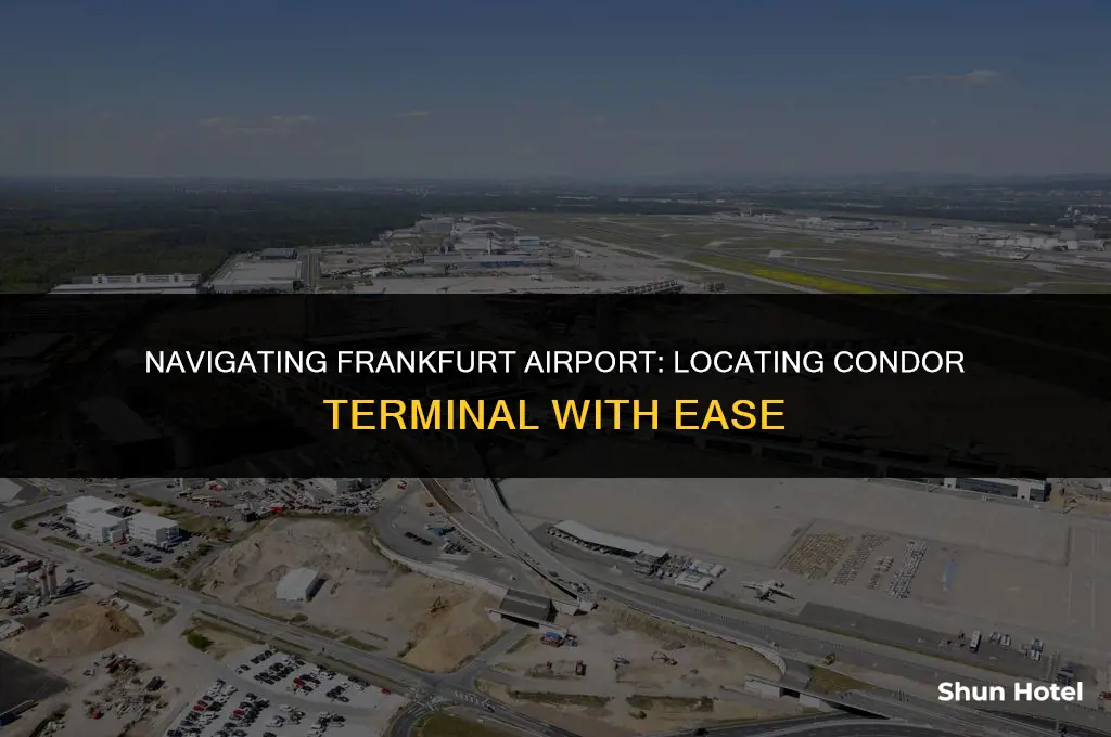 where does condor terminal in frankfurt airport