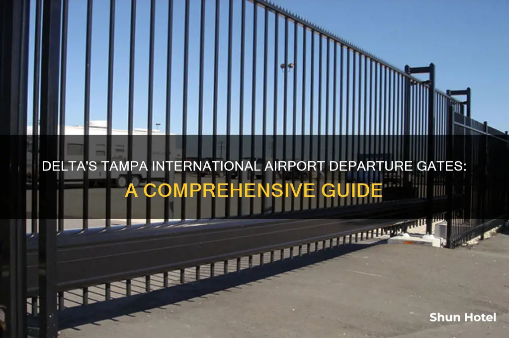 where does delta depart from tampa international airport
