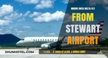 Delta's Stewart Airport Routes: Destinations and Flight Options Explained