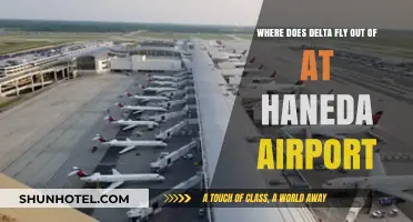 Delta Airlines' Haneda Airport Departure Terminal and Gate Guide