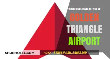 Delta's Golden Triangle Airport Routes: Destinations and Flight Options