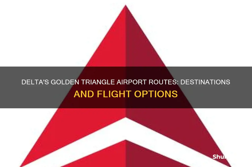 where does delta fly out of golden triangle airport