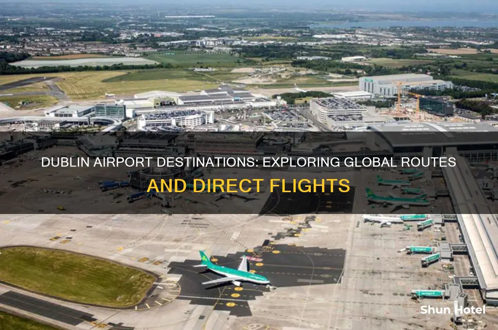 where does dublin airport fly to