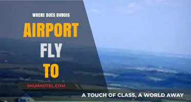 Discover Dubois Airport's Destinations: A Comprehensive Guide to Flights