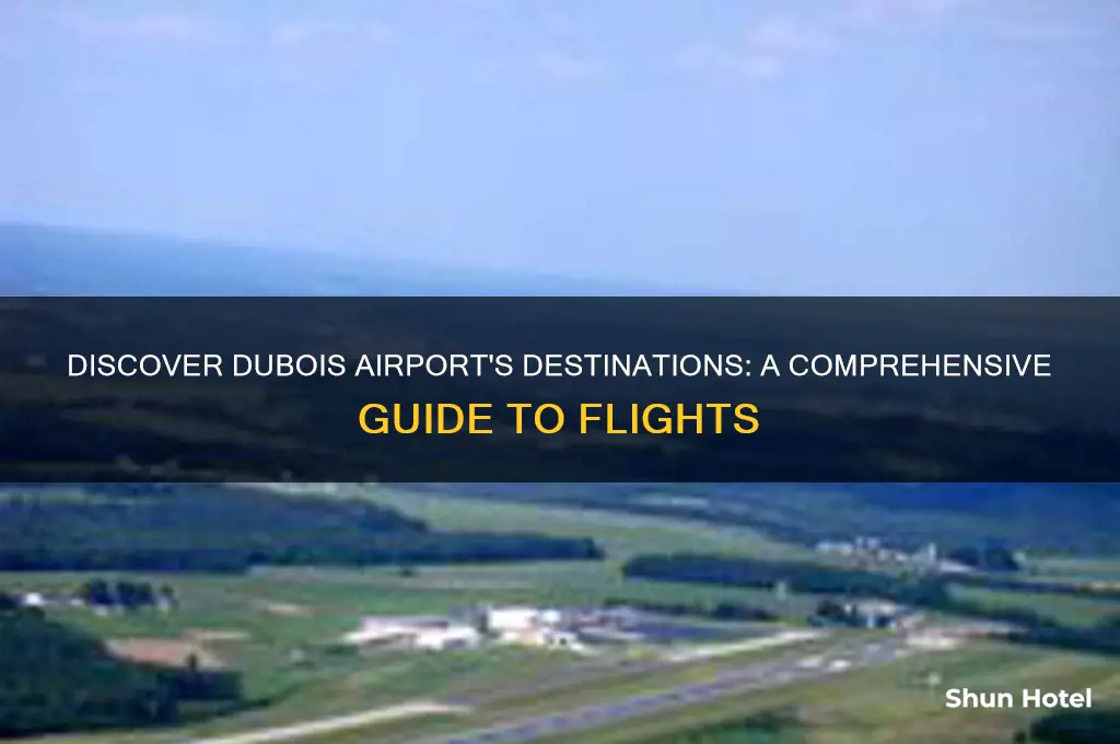 where does dubois airport fly to