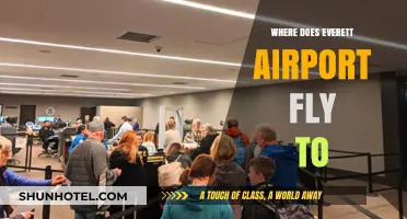 Everett Airport Destinations: Exploring Direct Flights and Travel Options