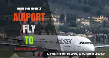 Florence Airport Destinations: Exploring Direct Flights and Popular Routes