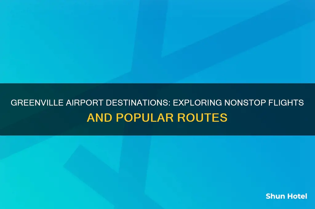 where does greenville airport fly to