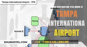 Hartline 275X Arrival Guide: Navigating Tampa International Airport