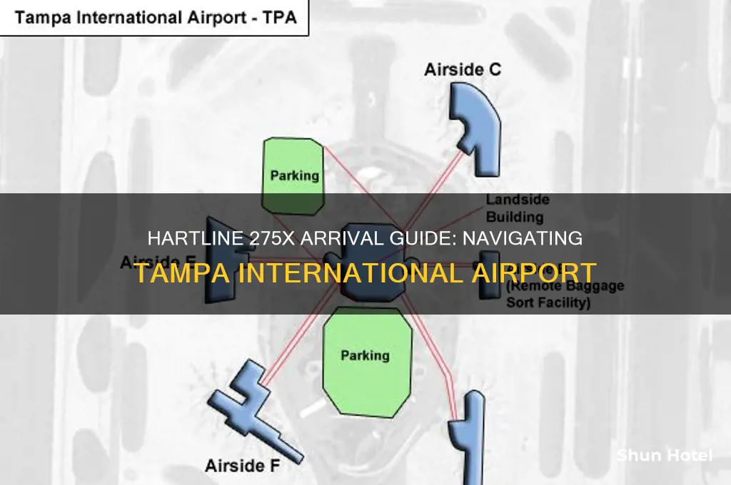 where does hartline 275x arrive at tampa international airport