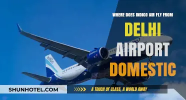 Indigo Air Domestic Destinations: Exploring Flights from Delhi Airport