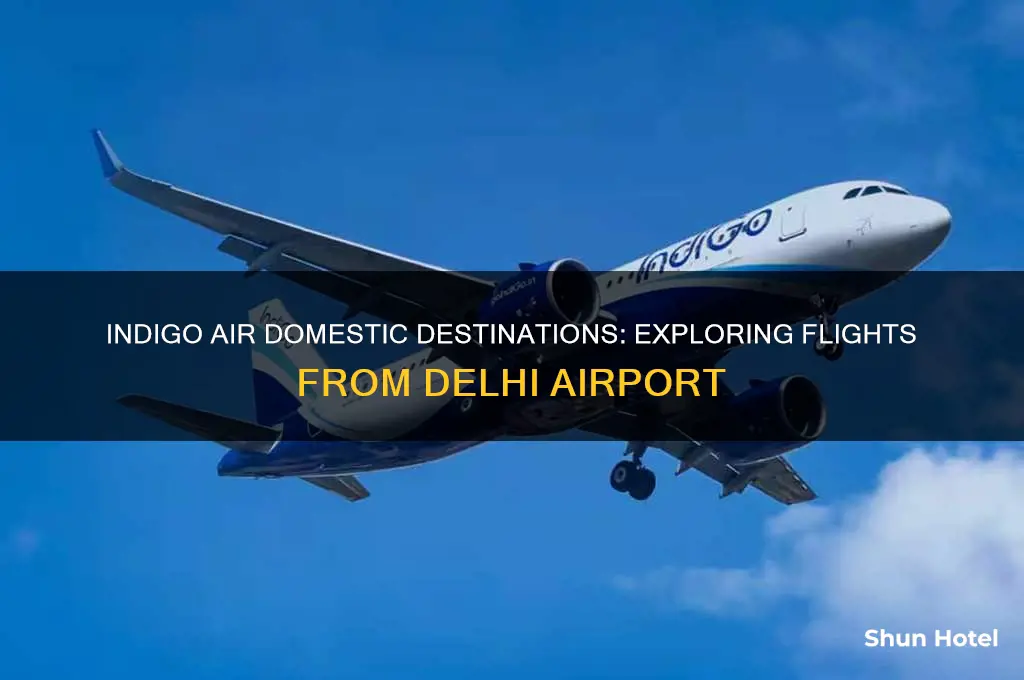 where does indigo air fly from delhi airport domestic