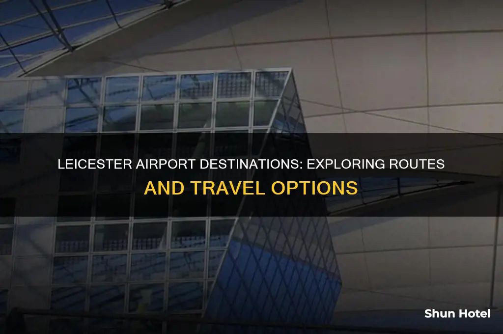 where does leicester airport fly to