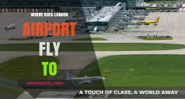 London Airports: Global Destinations and Flight Routes Explored