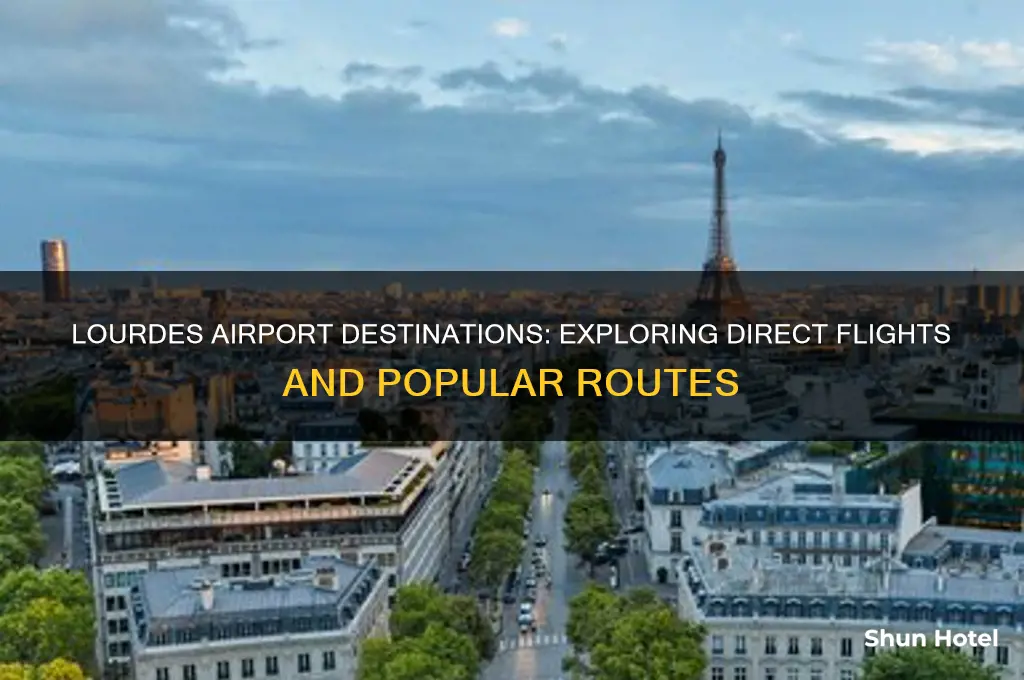 where does lourdes airport fly to