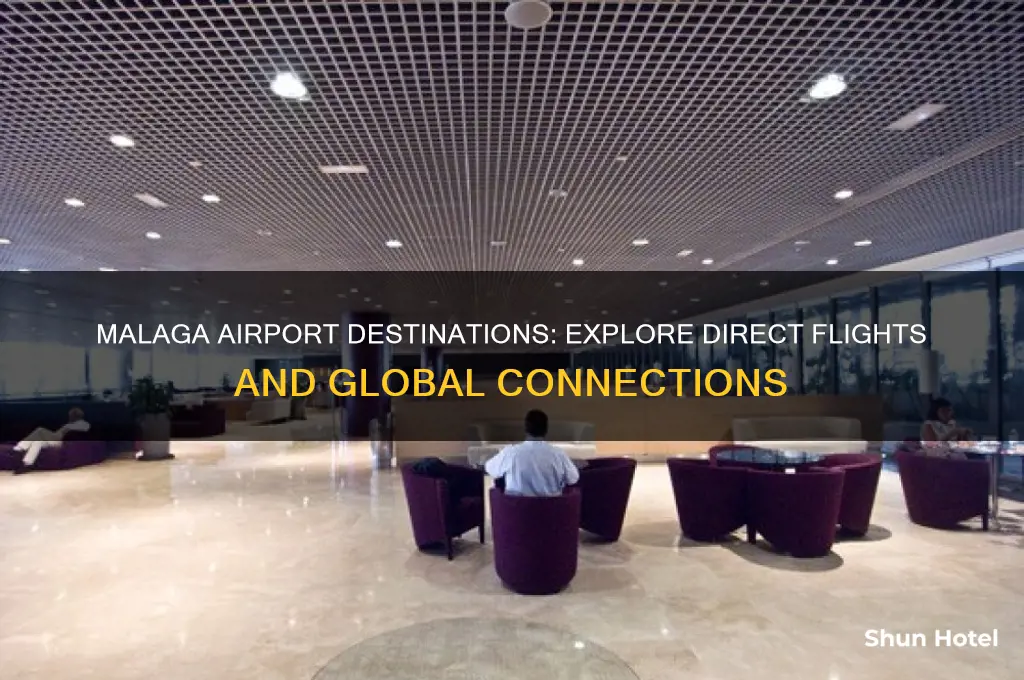where does malaga airport fly to
