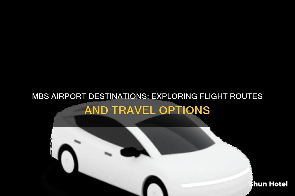 where does mbs airport fly to