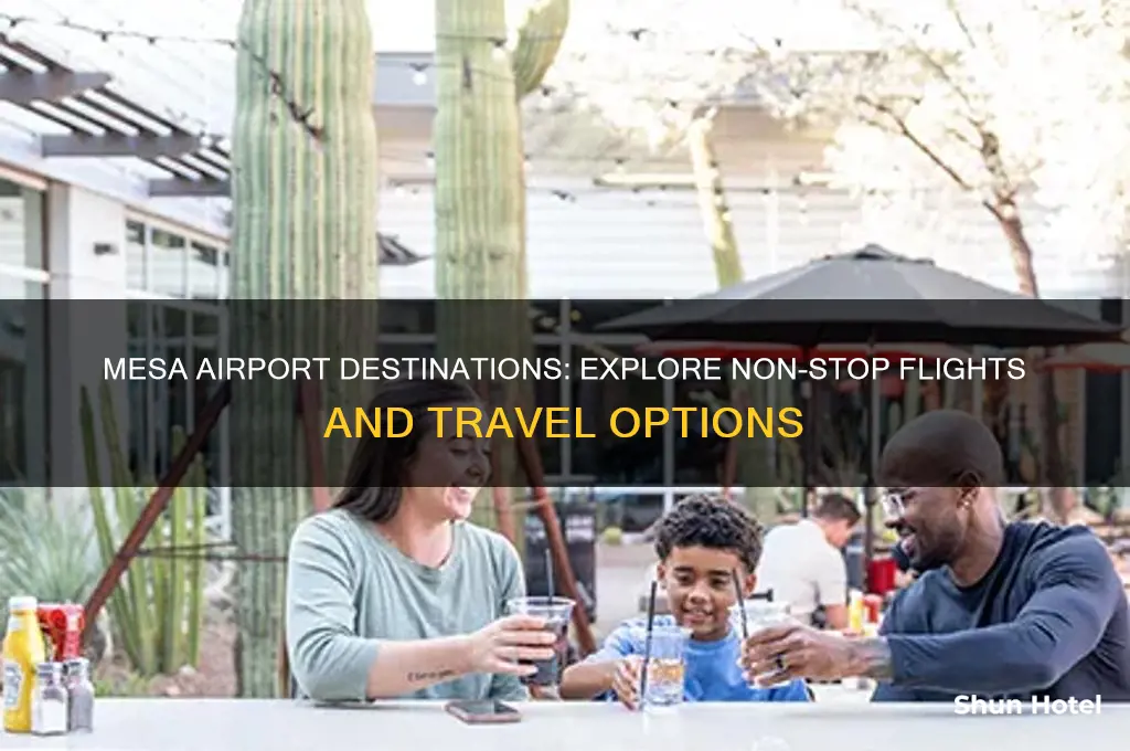 where does mesa airport fly to