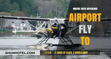 Muskoka Airport Destinations: Exploring Direct Flights and Travel Options