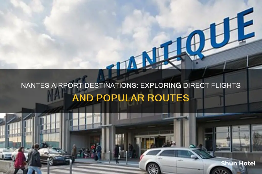 where does nantes airport fly to