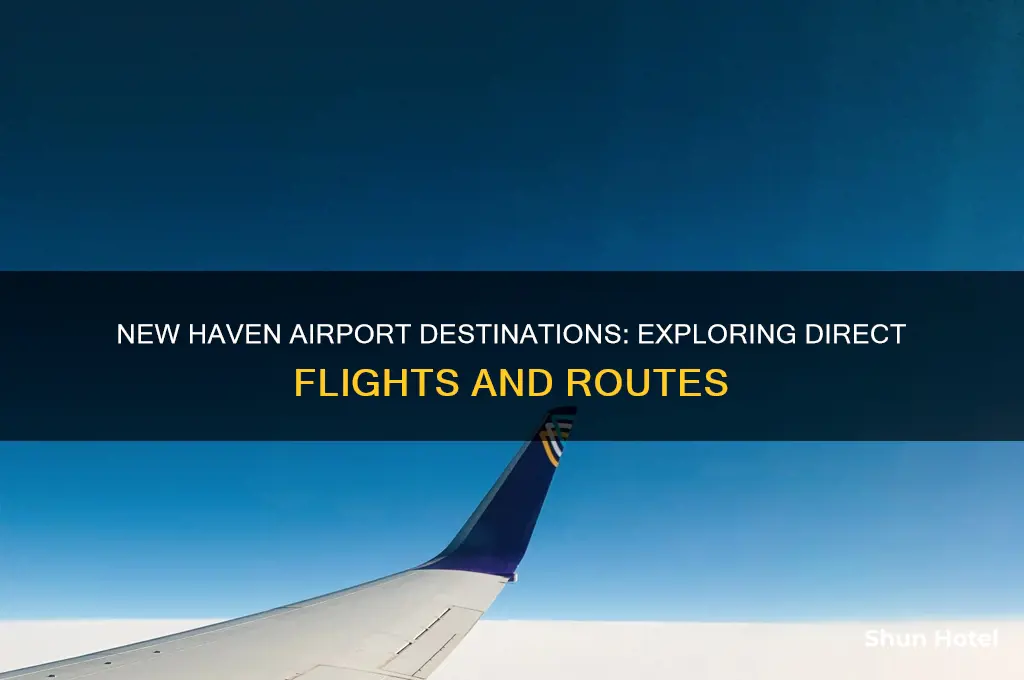where does new haven airport fly to