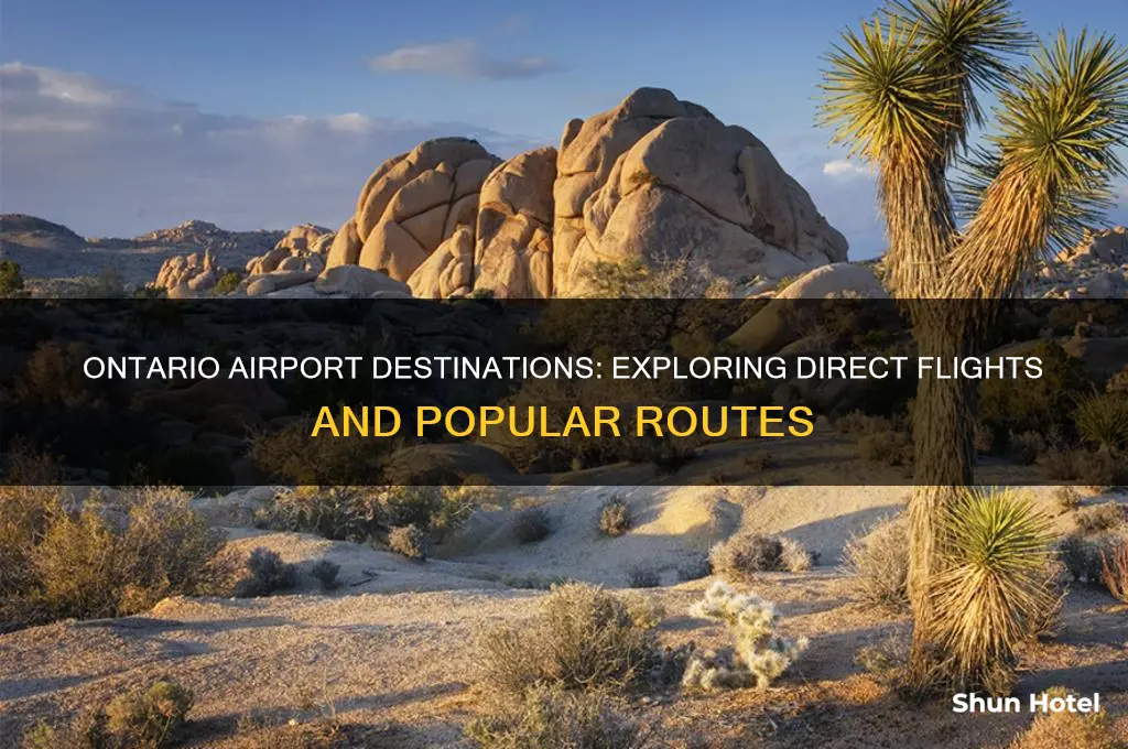 where does ontario airport fly to