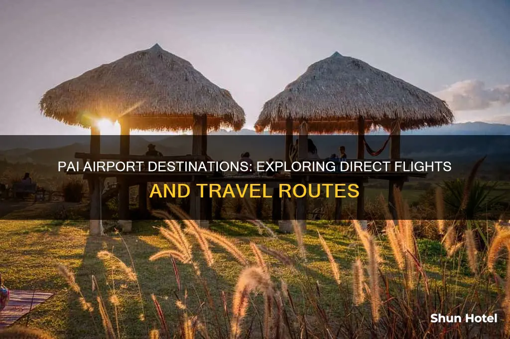 where does pai airport fly to