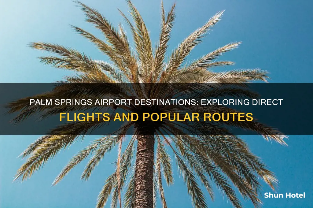 where does palm springs airport fly to