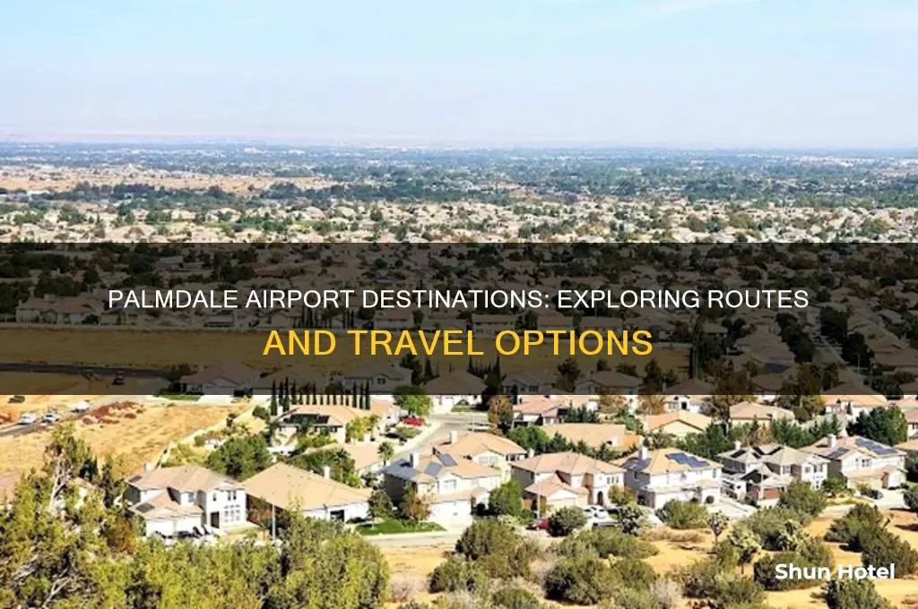 where does palmdale airport fly to