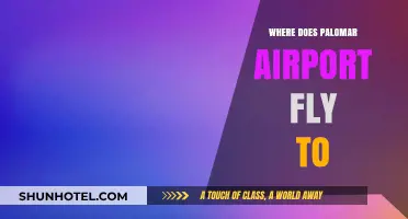 Palomar Airport Destinations: Exploring Direct Flights and Travel Options