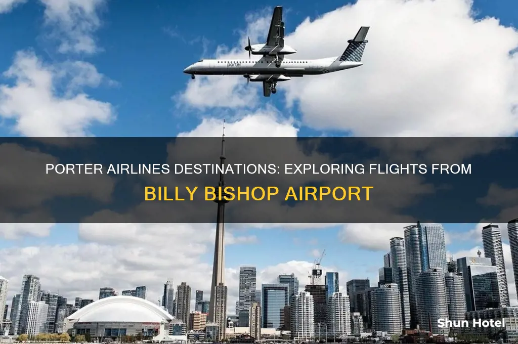 where does porter fly from billy bishop airport