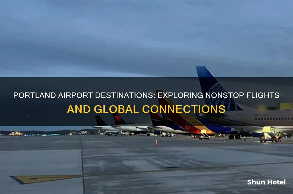 where does portland airport fly