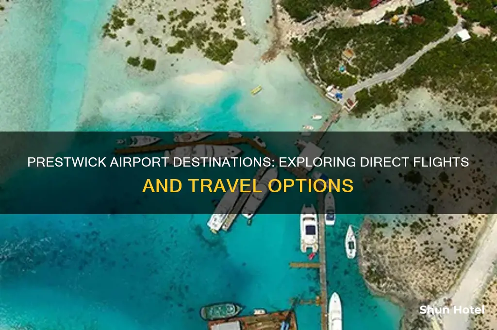 where does prestwick airport fly to