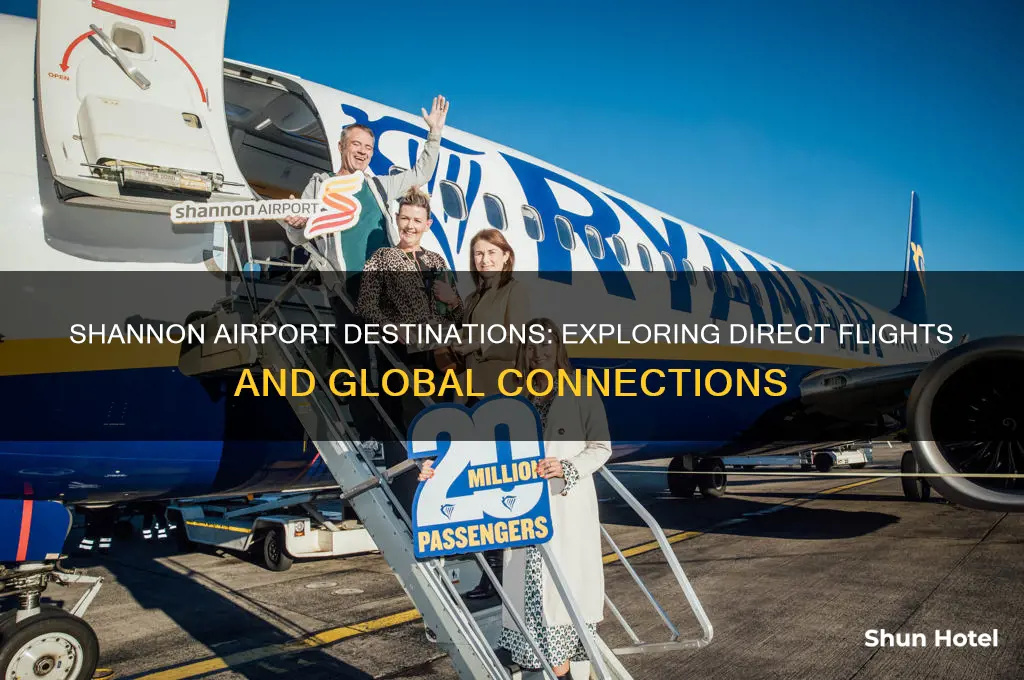 where does shannon airport fly to